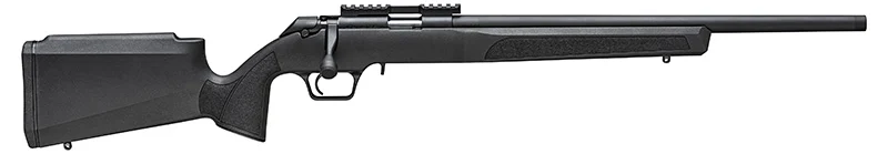 2020 RF TARGET 22LR Black TS 2-10Rd Mags