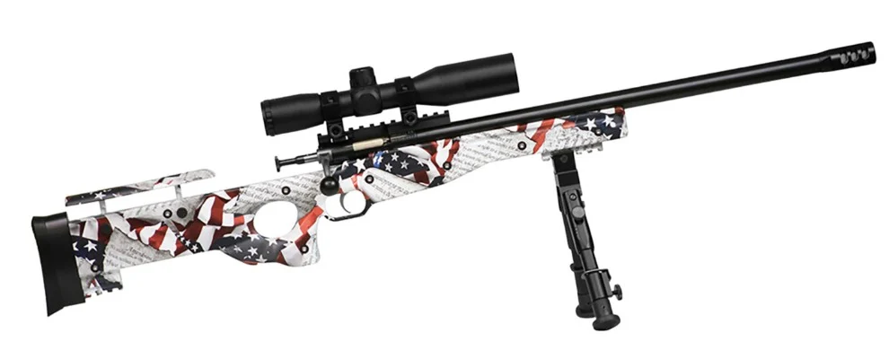 Crickett Precsn 22LR Pkg 16.12" Amendment 1rd